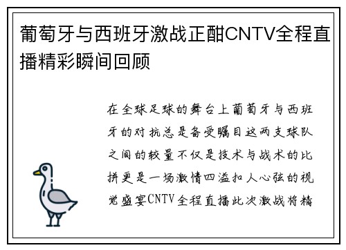 葡萄牙与西班牙激战正酣CNTV全程直播精彩瞬间回顾