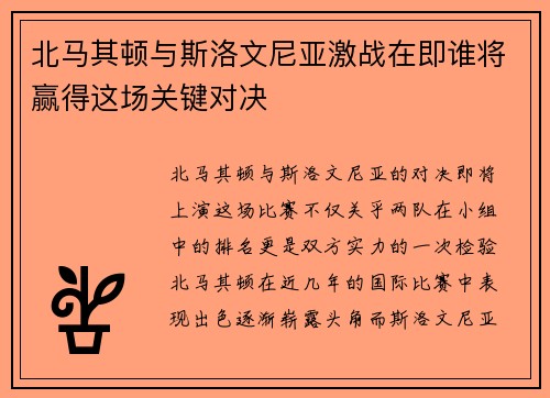 北马其顿与斯洛文尼亚激战在即谁将赢得这场关键对决