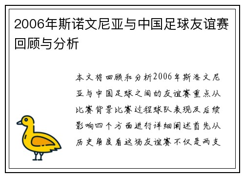 2006年斯诺文尼亚与中国足球友谊赛回顾与分析