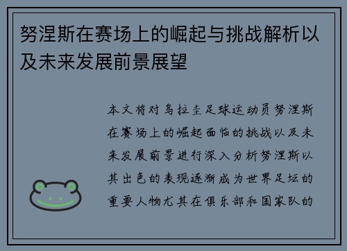 努涅斯在赛场上的崛起与挑战解析以及未来发展前景展望