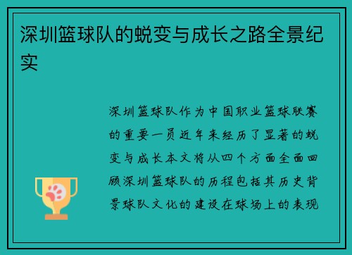 深圳篮球队的蜕变与成长之路全景纪实